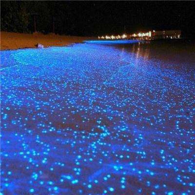 胖布丁一路胖